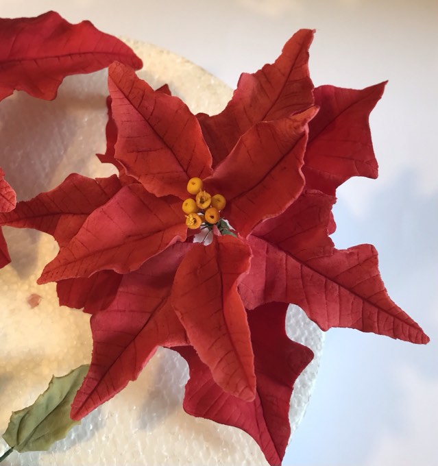 Poinsettia Sugar Flower