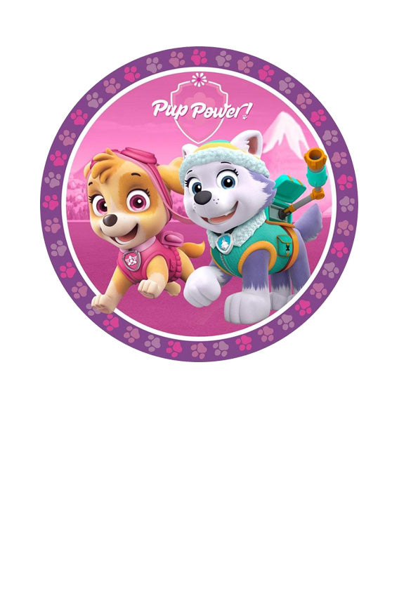Paw Patrol C
